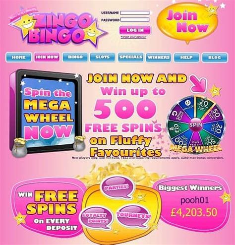 Zingo bingo casino